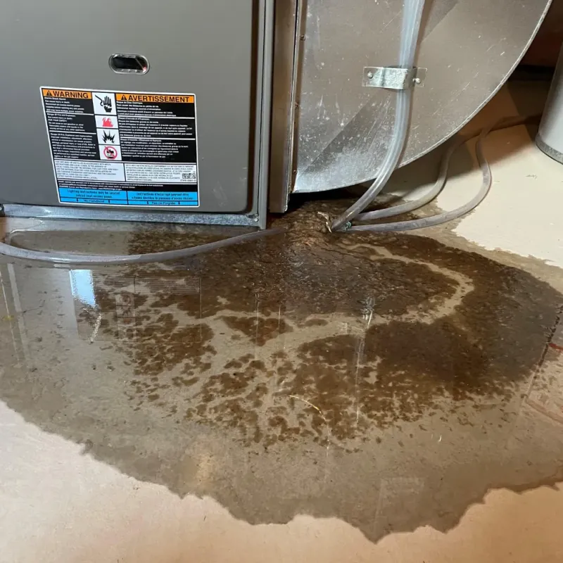 Appliance Leak Cleanup in Dover, AR