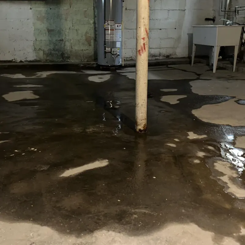Emergency Water Extraction And Removal in Dover, AR